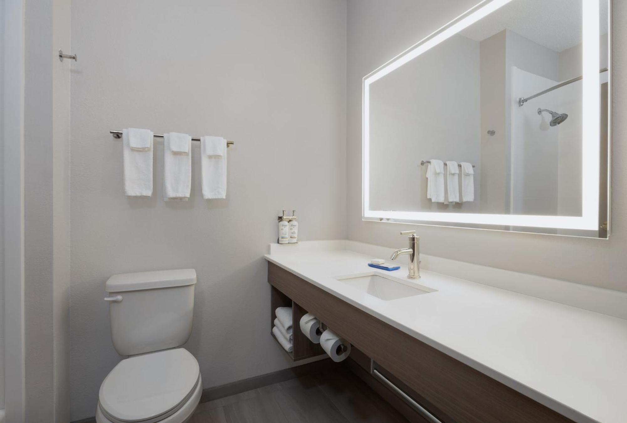 Holiday Inn Express Hotel & Suites Kennesaw Northwest - Acworth By Ihg Buitenkant foto